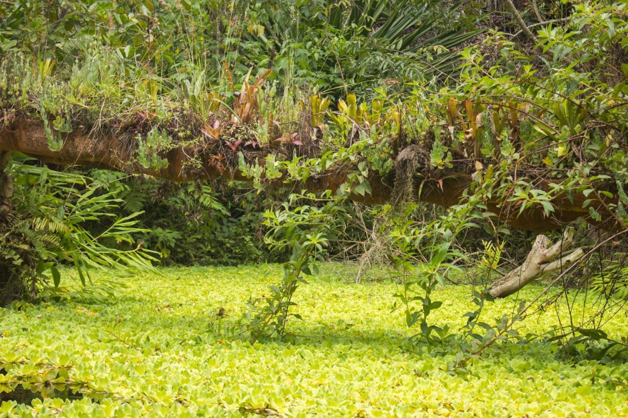 Pousada Flor De Acucena อิกาตู ภายนอก รูปภาพ
